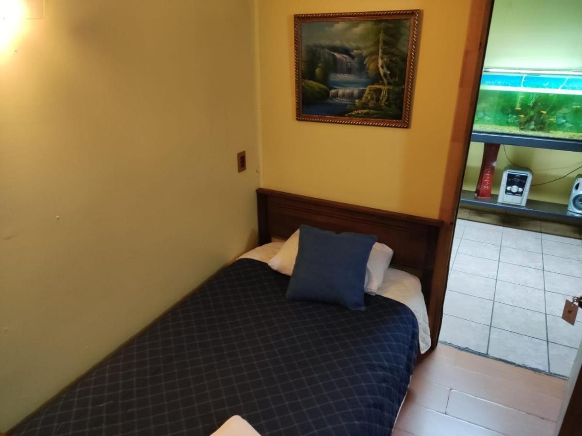 تيموكو Hostal Rayen Centro المظهر الخارجي الصورة