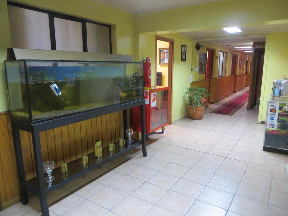 تيموكو Hostal Rayen Centro المظهر الخارجي الصورة